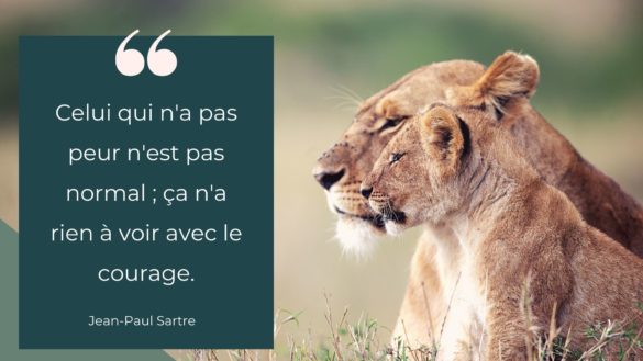 Celui qui n'a pas peur n'est pas normal ; ça n'a rien à voir avec le courage - Jean-Paul Sartre